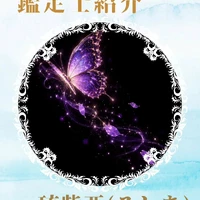 画像309